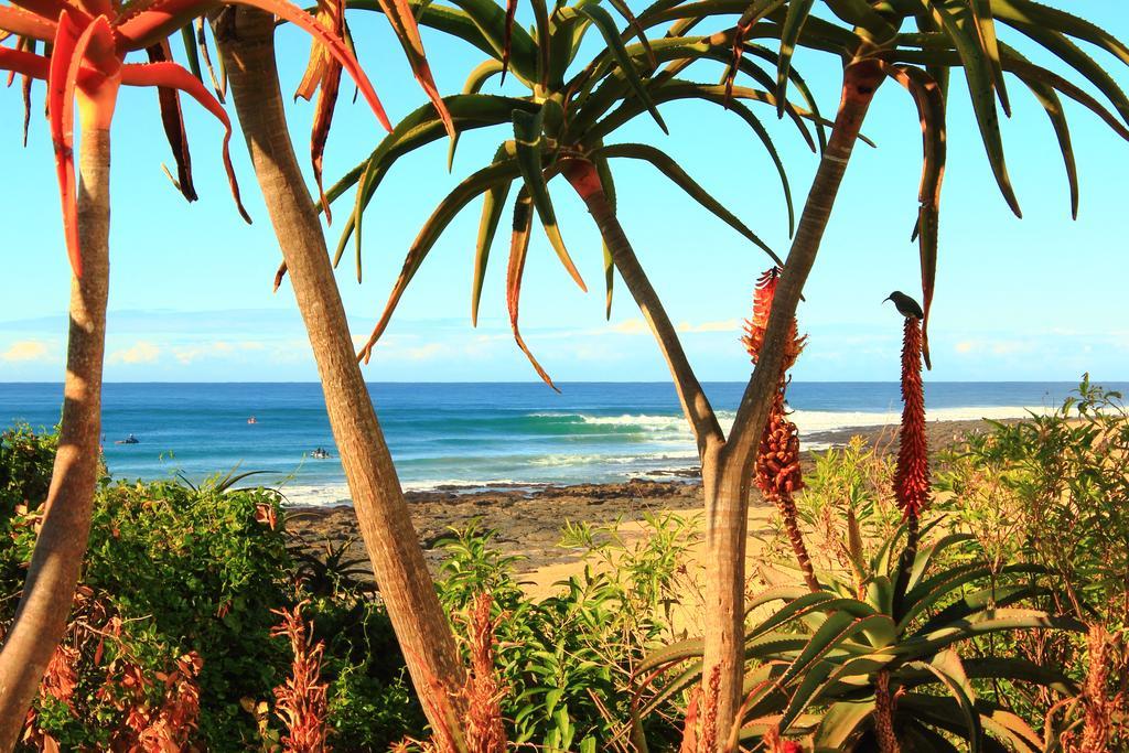 Beach House Jeffreys Bay Esterno foto